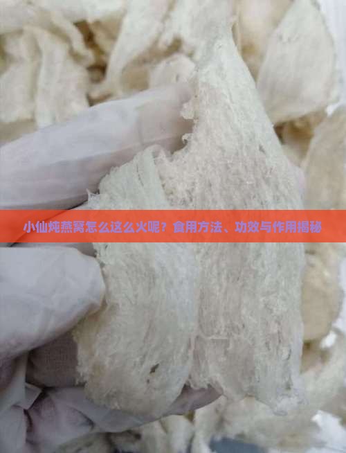 小仙炖燕窝怎么这么火呢