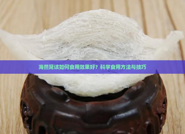 海燕窝该如何食用效果好
