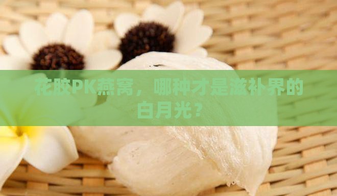 花胶的与燕窝哪个比较好