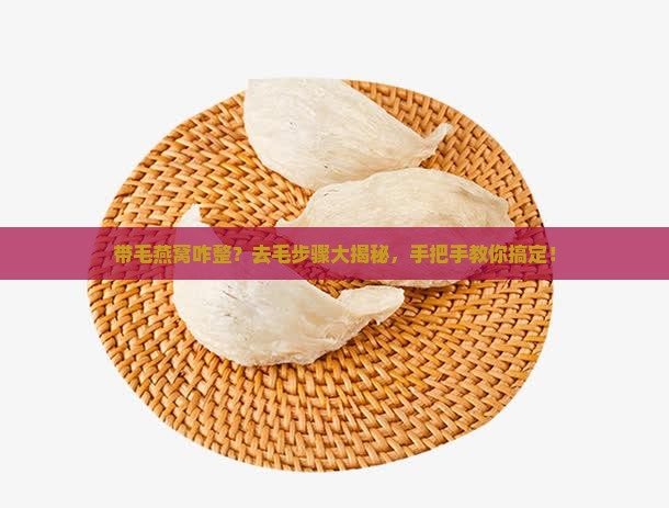 带毛燕窝如何做去毛处理