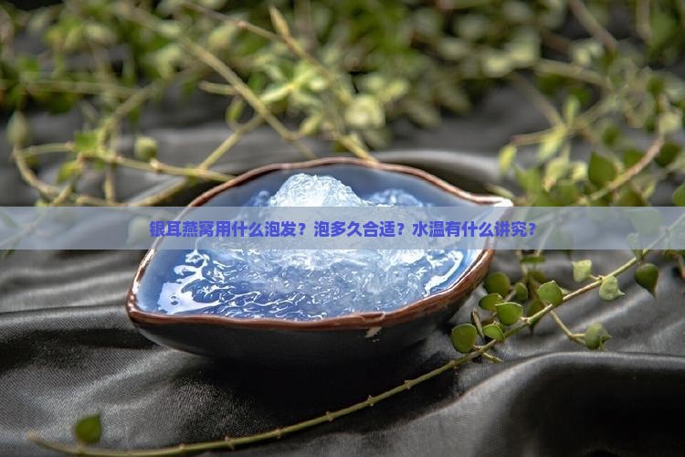 银耳燕窝用什么泡好一点