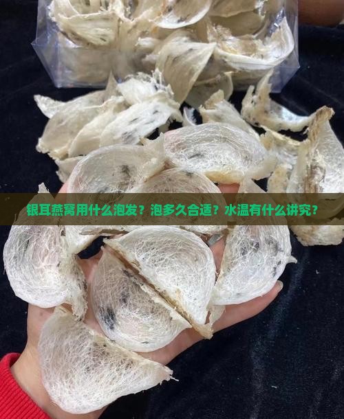银耳燕窝用什么泡好一点