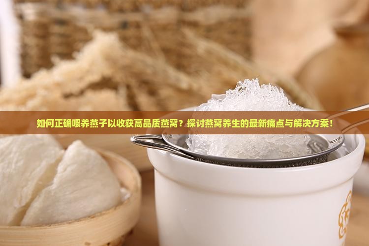 怎么喂养燕子才有燕窝