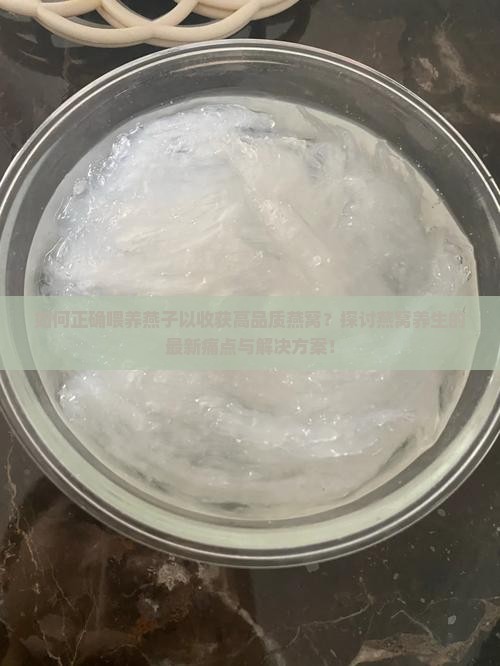 怎么喂养燕子才有燕窝