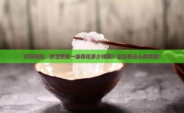 燕芝燕窝多少钱一袋啊