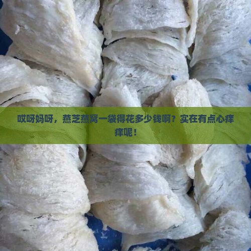 燕芝燕窝多少钱一袋啊