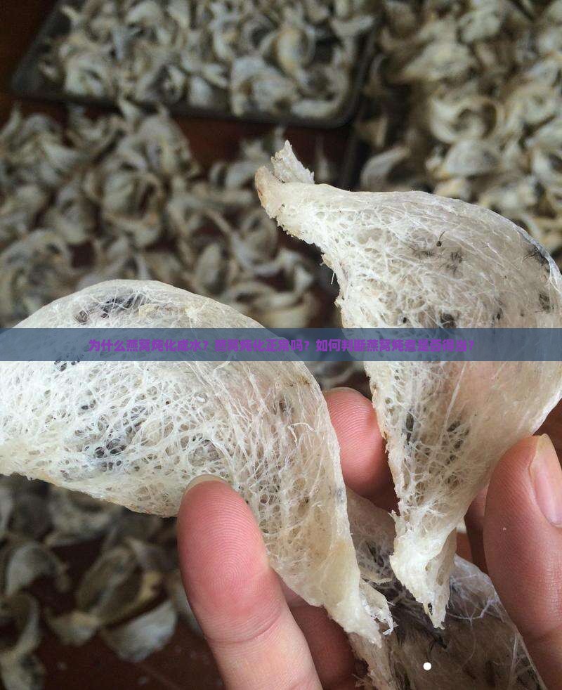 燕窝炖化水是怎么回事