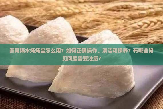 燕窝隔水炖炖盅怎么用