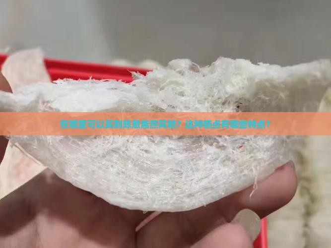 陈意斋燕窝糕哪里卖的