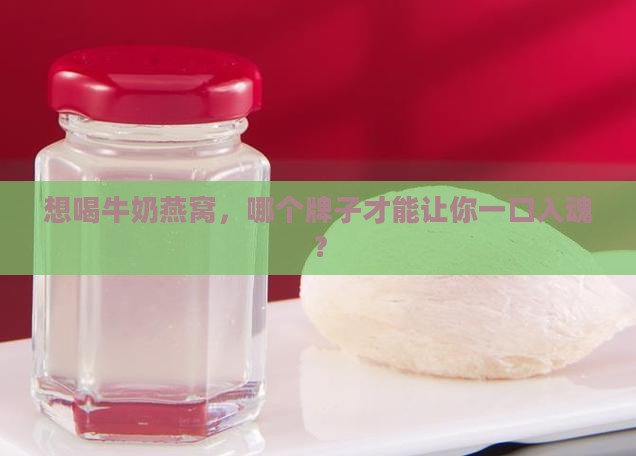 牛奶燕窝选哪个品牌好
