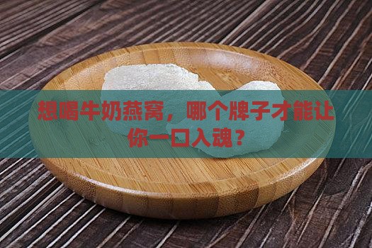 牛奶燕窝选哪个品牌好