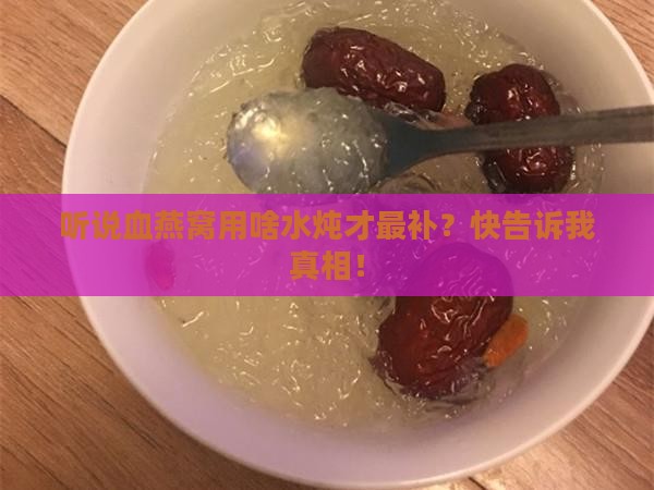 血燕窝用什么水炖最好