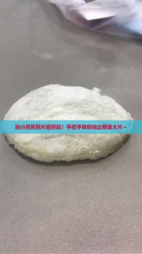 如何拍小燕窝照片教程