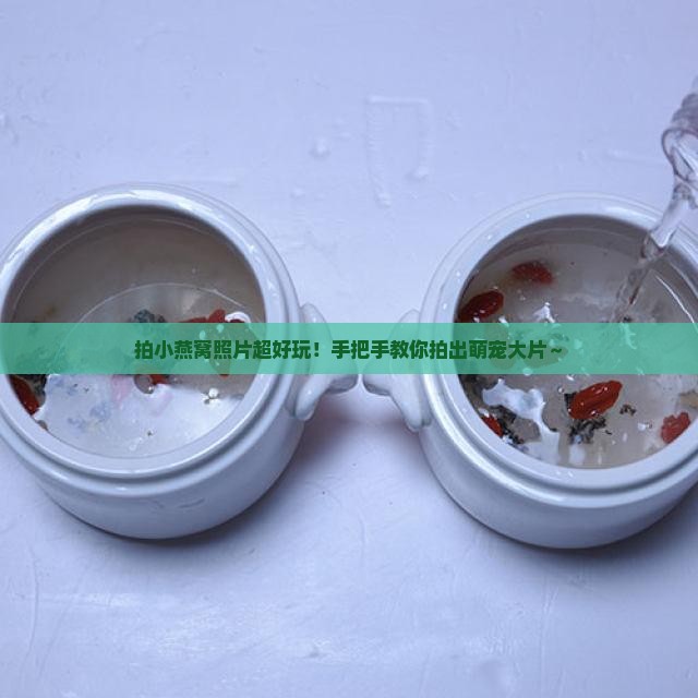 如何拍小燕窝照片教程
