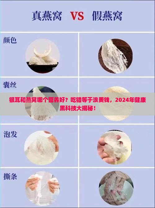 银耳和燕窝哪个营养好