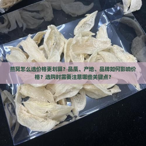 燕窝怎么选价格好一点