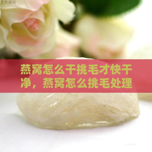 燕窝怎么干挑毛才快干净