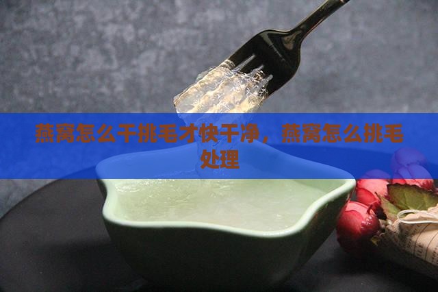燕窝怎么干挑毛才快干净