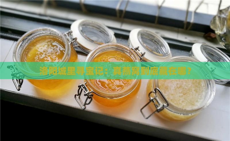 洛阳哪里能买到真燕窝