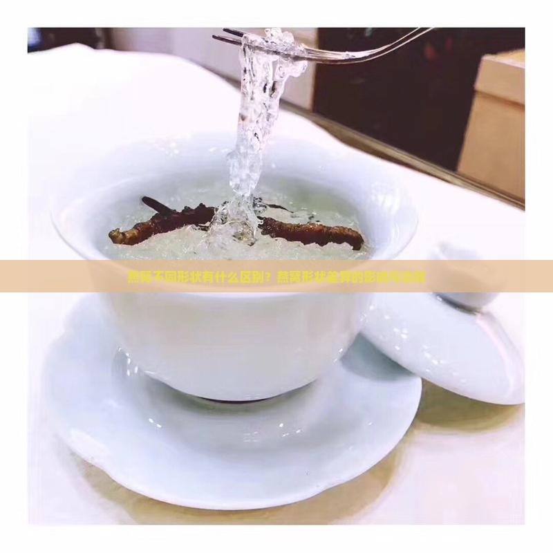 燕窝不同形状有什么区别