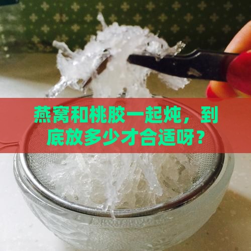 燕窝和桃胶一次炖放多少