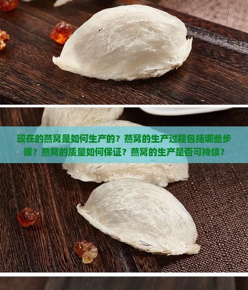 现在的燕窝是怎么生产的
