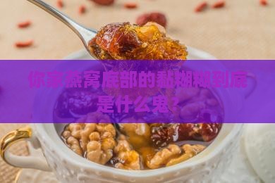 燕窝底部粘胶是什么意思