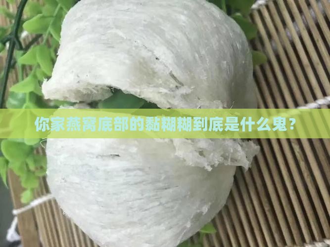 燕窝底部粘胶是什么意思