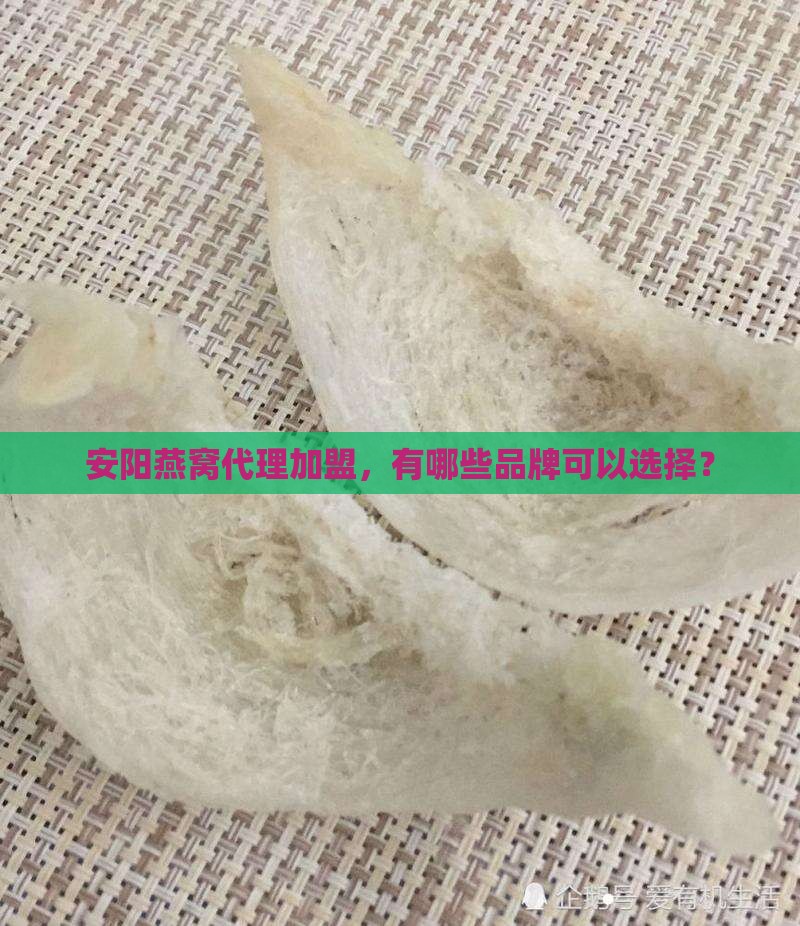 安阳燕窝代理品牌有哪些