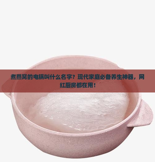 煮燕窝的电锅叫什么名字