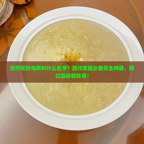 煮燕窝的电锅叫什么名字