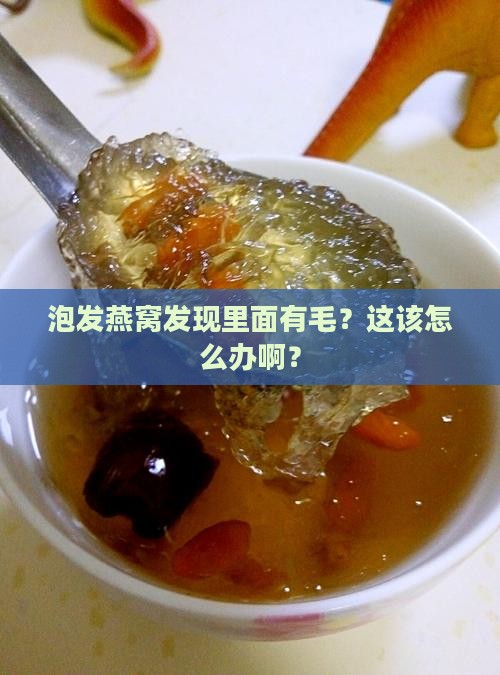 燕窝泡了有毛怎么处理