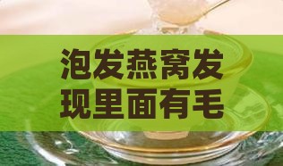 燕窝泡了有毛怎么处理