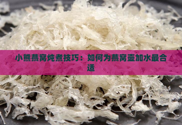 小熊燕窝壶放多少水最好