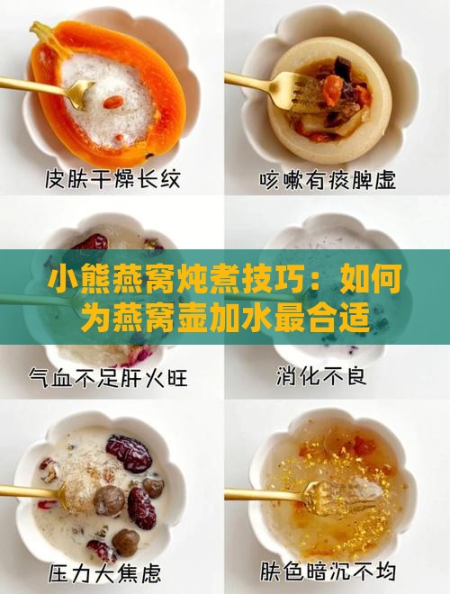小熊燕窝壶放多少水最好