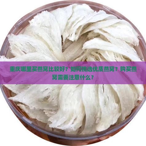 重庆买燕窝哪里买好一点