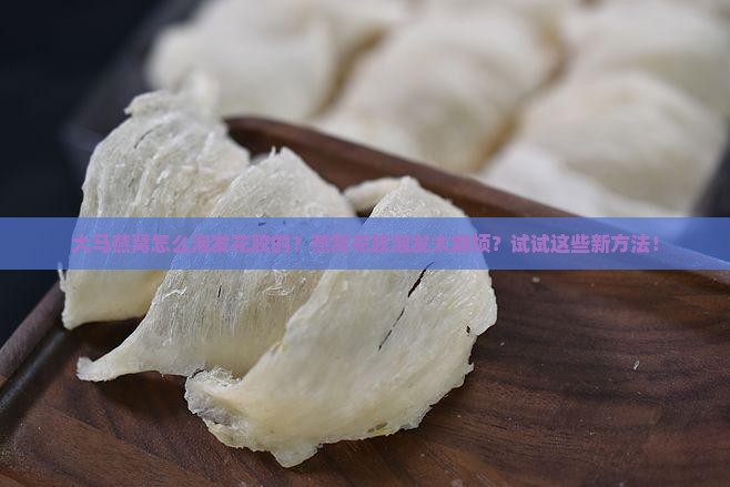 大马燕窝怎么泡发花胶的