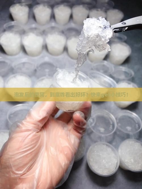 燕窝泡发后如何看品质
