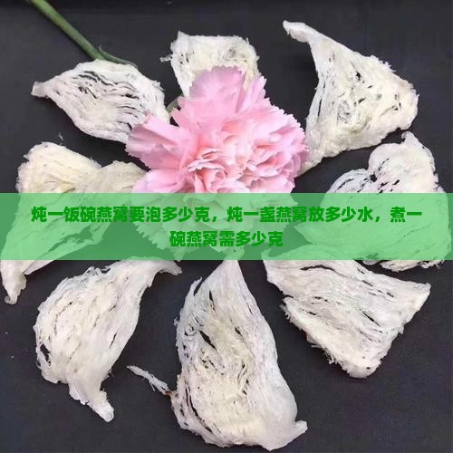 炖一饭碗燕窝要泡多少克