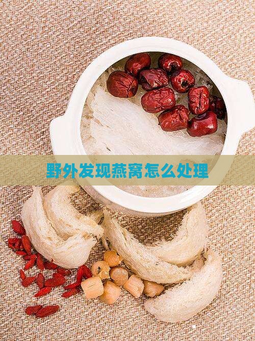 野外发现燕窝怎么处理