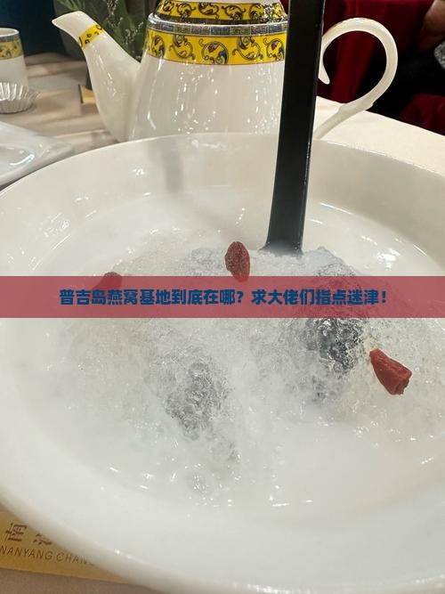 普吉岛的燕窝基地在哪里