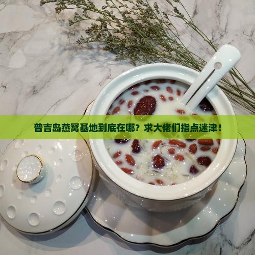 普吉岛的燕窝基地在哪里