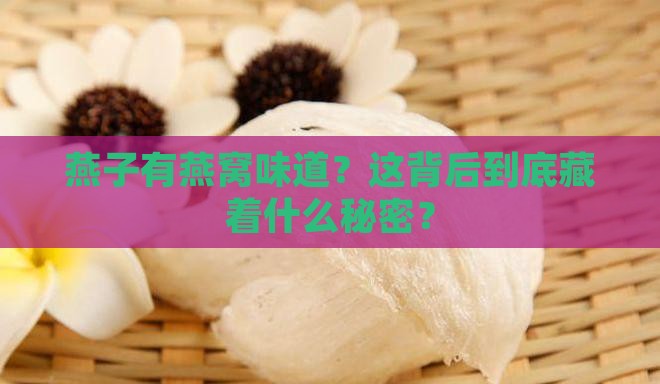 为什么说燕子有燕窝味道