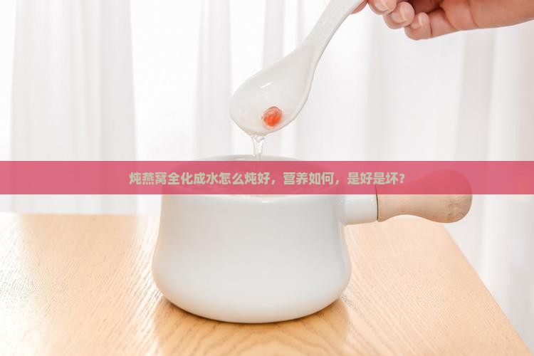 炖燕窝全化成水怎么炖好