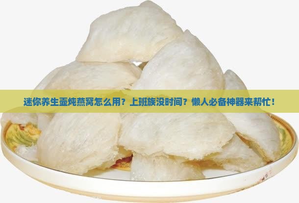 迷你养生壶炖燕窝怎么用