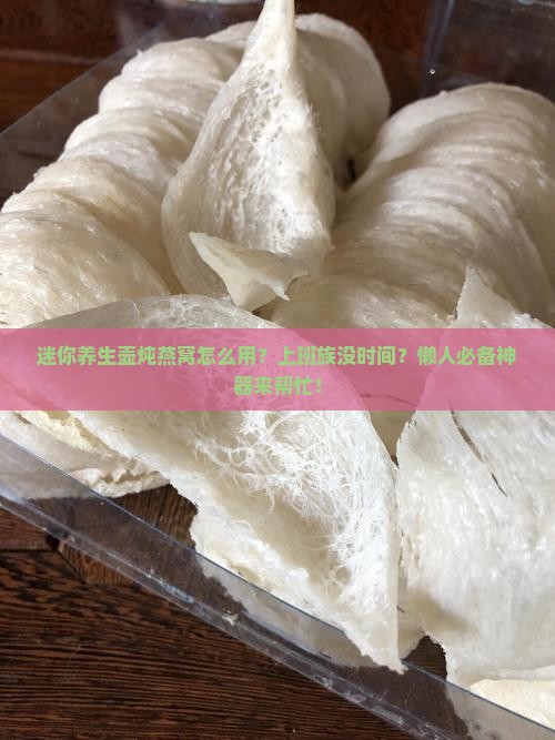 迷你养生壶炖燕窝怎么用