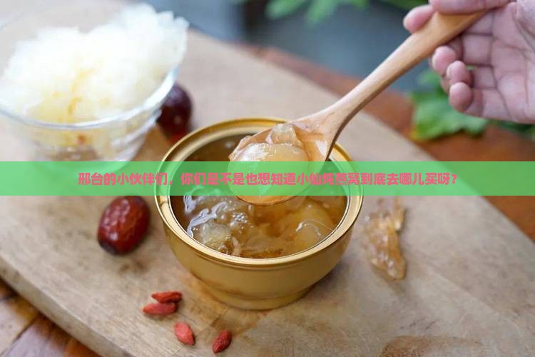 燕窝小仙炖邢台哪里有卖