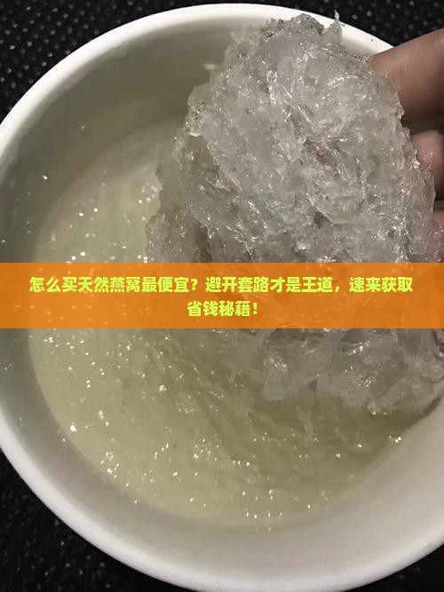 怎么买天然燕窝最便宜