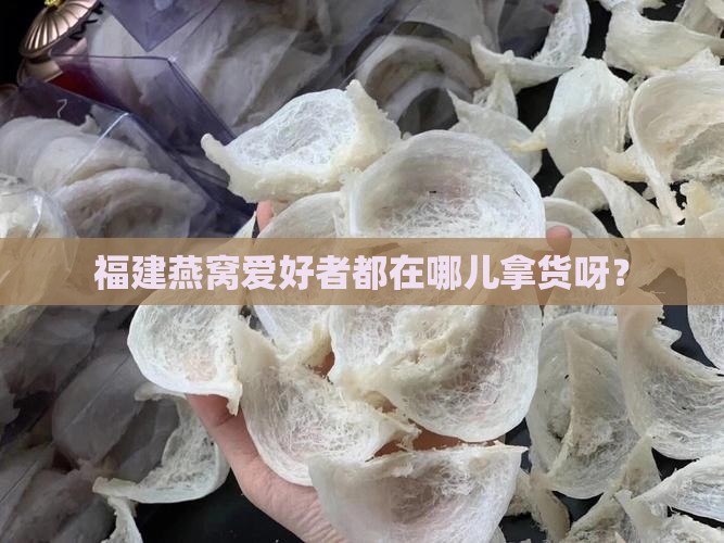 福建燕窝去哪里拿货的
