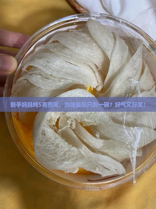 5克燕窝炖完有多少辆